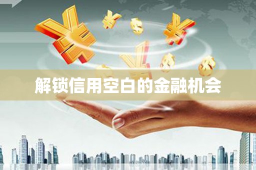 琉球解锁信用空白的金融机会
