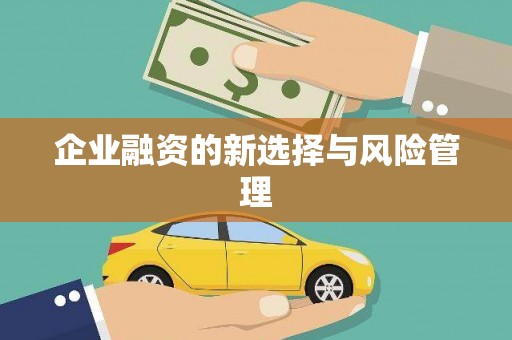 琉球企业融资的新选择与风险管理