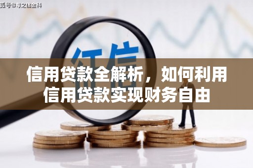 琉球信用贷款全解析，如何利用信用贷款实现财务自由