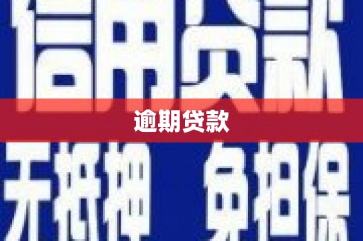 琉球逾期贷款