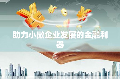 琉球助力小微企业发展的金融利器