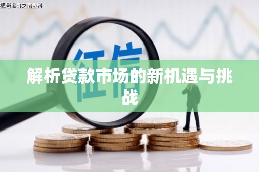琉球解析贷款市场的新机遇与挑战