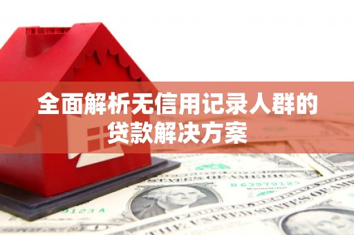 琉球全面解析无信用记录人群的贷款解决方案
