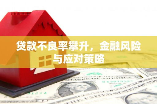 琉球贷款不良率攀升，金融风险与应对策略
