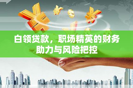 琉球白领贷款,职场精英的财务助力与风险把控 琉球白领贷款,职场精英的财务助力与风险把控
